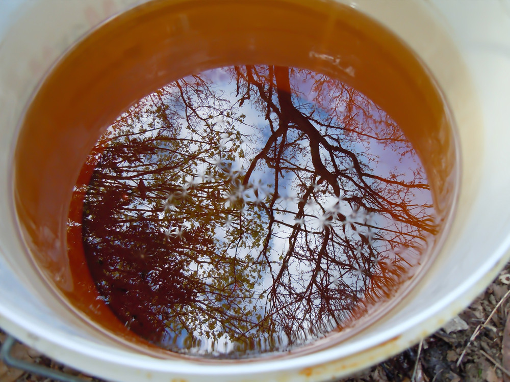 Un bărbat din Suceava a fost condamnat la închisoare după ce a turnat ulei într-o fântână