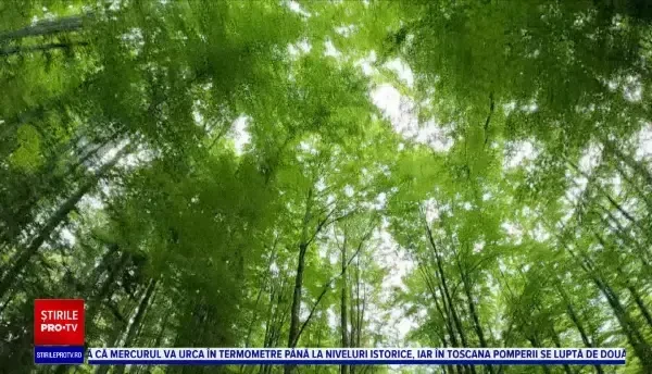 Horoscop 13 iulie 2022 cu Neti Sandu. Zodia care câștigă bani și glorie