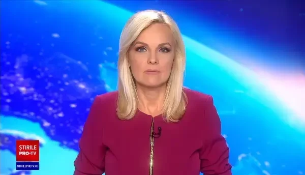 Un urs de mari dimensiuni a apărut în Bușteni. Animalul a fost lovit ușor de un autoturism