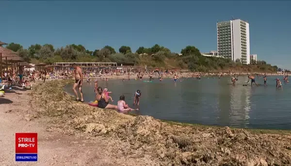 Tone de alge putrezite pe malul Mării Negre. Medicii transmit un avertisment