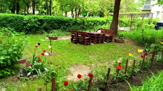 Băimărenii concurează pentru cea mai frumoasă grădină de la casă sau bloc. Care sunt premiile