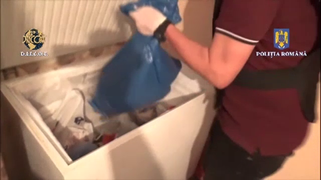 Traficanți de droguri din Galați, arestați. DIICOT a descoperit șapte kilograme de droguri, ascunse în congelator