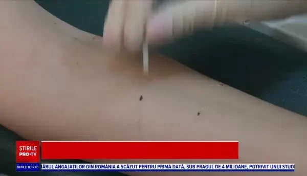 Alergia la ambrozie afectează jumătate de milion de români. Simptomele se intensifică în această perioadă