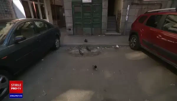 Tâlhărit și aproape ucis de hoți. Modul brutal în care un fost militar, în vârstă de 82 de ani, a fost jefuit