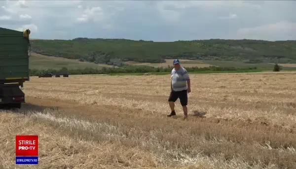 Programul ”De 3 ori subvenția" împarte agricultorii în două tabere. Ce nemulțumiri au fermierii