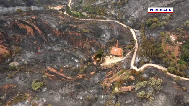 Europa, mistuită de flăcări. Valul de caniculă a atins apogeul