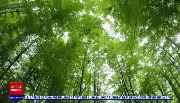 Horoscop 16 iulie 2022, cu Neti Sandu. Zodia care are șanse să primească o sumă de bani în cont