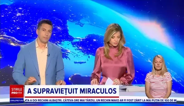 O mașină a ars ca o torță pe Autostrada Bucureşti – Piteşti. Șoferul a dovedit prezență de spirit