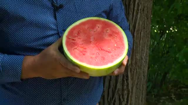 Cât de bun este noul pepene Lusitana, care a apărut recent și în magazinele românești