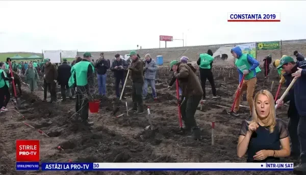 România este codașă la protecția drumurilor cu perdele forestiere. Soluțiile găsite de CNAIR și ministerul Mediului