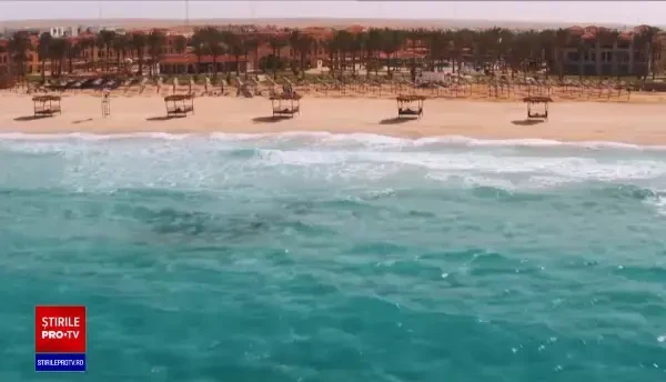 Care sunt speciile de rechin din locațiile frecventate de turiștii români. Măsurile elementare de siguranță în apă