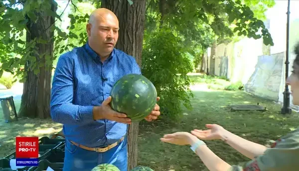 Cât de bun este noul pepene Lusitana, care a apărut recent și în magazinele românești