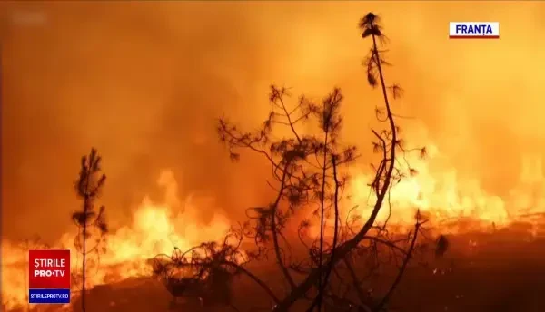 Alertă de căldură extremă în vestul Europei. În Marea Britanie a fost emis cod roșu pentru prima dată în istorie