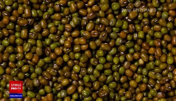 Ce este fasolea mung și cum trebuie consumată. Este o sursă bogată în proteine