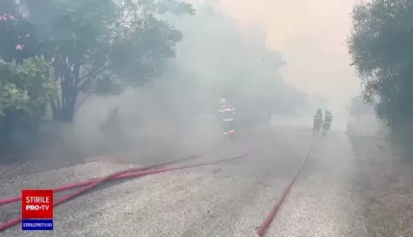 Nouă sate din apropiere de Atena, evacuate din cauza unui incendiu