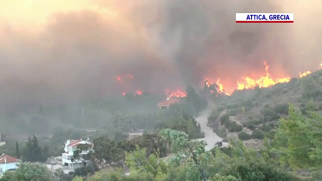 Zeci de hectare de vegetație au luat foc lângă Atena. Pompierii români intervin pentru stingerea incendiului