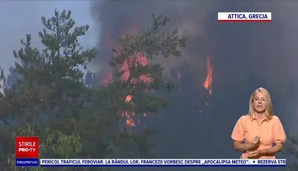 Zeci de hectare de vegetație au luat foc lângă Atena. Pompierii români intervin pentru stingerea incendiului