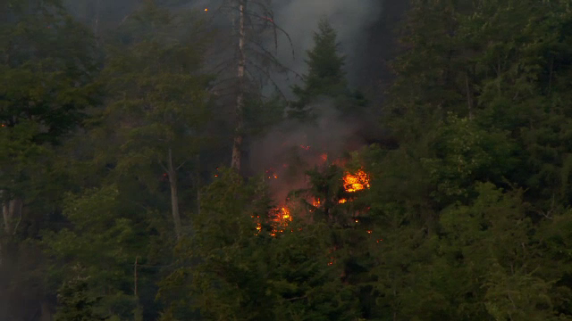 Incendiu puternic în Bistrița Năsăud. Pădure din stațiunea Colibița, mistuită de flăcări