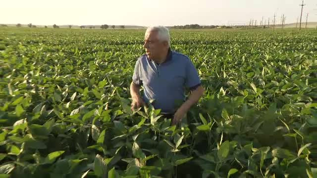 Petre Daea a mers la prima oră să verifice starea lucrărilor de infrastructură la sistemele de irigaţii din judeţul Ialomiţa