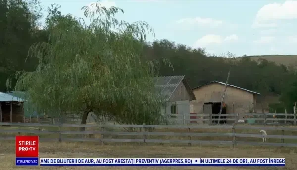 Trei frați din Vrancea au fost căutați după ce au plecat de acasă în urma unui conflict cu tatăl lor