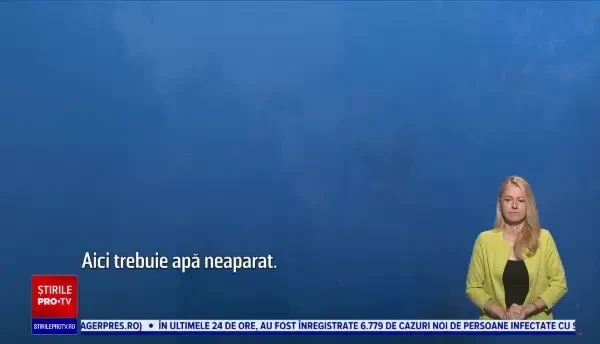 Incendiu puternic în Bistrița Năsăud. Pădure din stațiunea Colibița, mistuită de flăcări