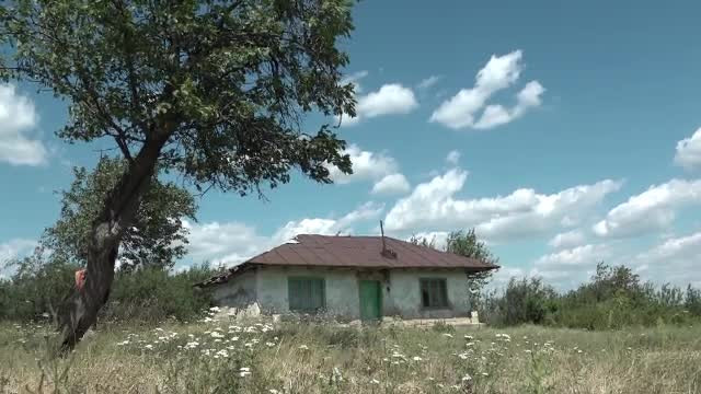 Un bărbat din Iași a fost mușcat de trei ori în câteva ore de un șarpe încă neidentificat