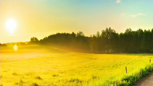 Ne topim de câteva zile, dar urmează alte trei zile de arșită extremă. Ce să consumăm pentru hidratare