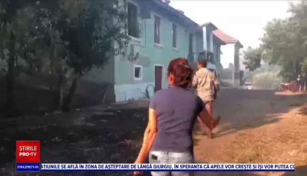 Incendiile de vegetație fac ravagii în România. Sute de hectare de pădure și vegetație uscată au luat foc