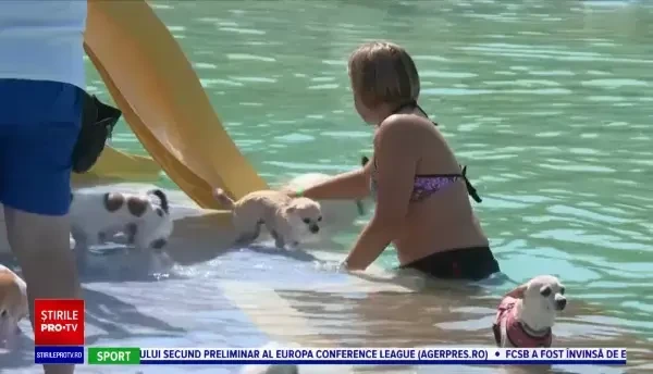 Parc acvatic pentru câini, în Spania. ”Toți ne simțim bine aici”