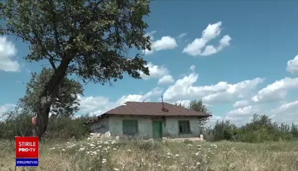 Un bărbat din Iași a fost mușcat de trei ori în câteva ore de un șarpe încă neidentificat