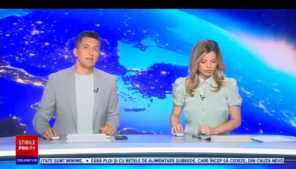 "Maidaneza" jocul video care vă arată cum ar fi să intrați în pielea unei pisici