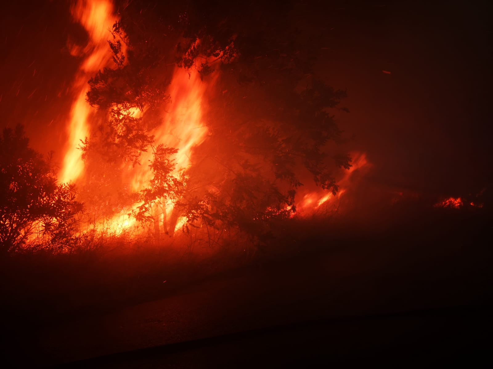 Incendii devastatoare în Europa. Canicula provoacă tot mai multe dezastre naturale