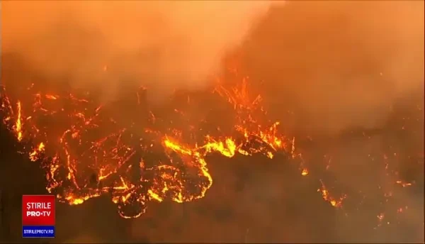 Stare de urgență în California. Sute de pompieri se luptă fără speranță cu flăcările în rezervația Yosemite