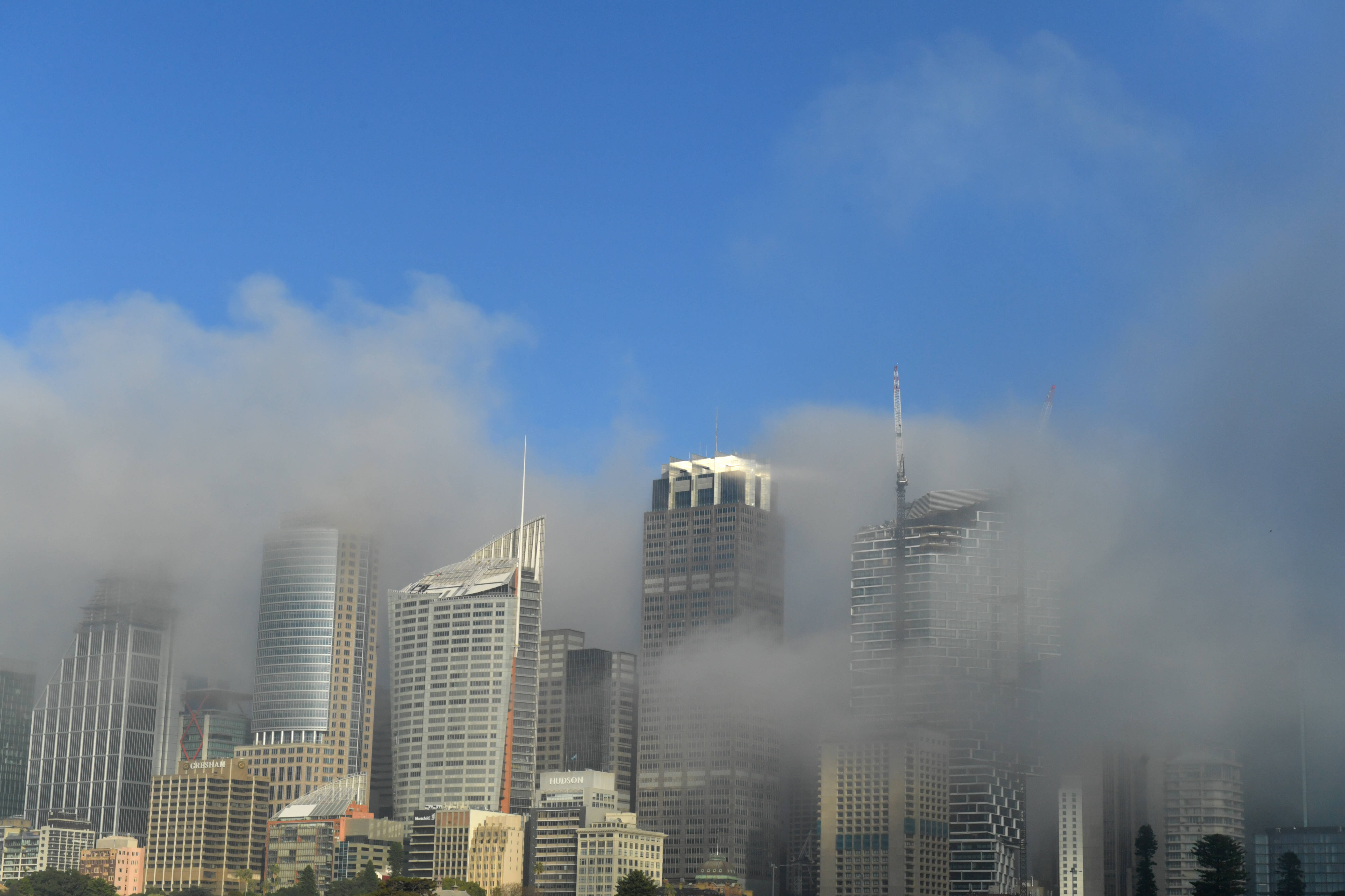 Imagini spectaculoase în Sydney. Orașul a fost acoperit de o ceață densă, iar zeci de zboruri au suferit întârzieri