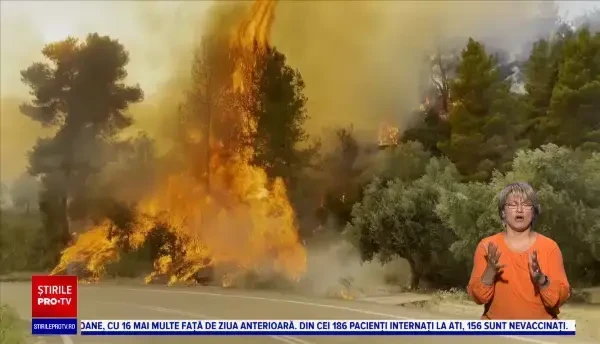 Căldura provoacă incendii devastatoare în toată lumea. În SUA, fumul a urcat până deasupra norilor