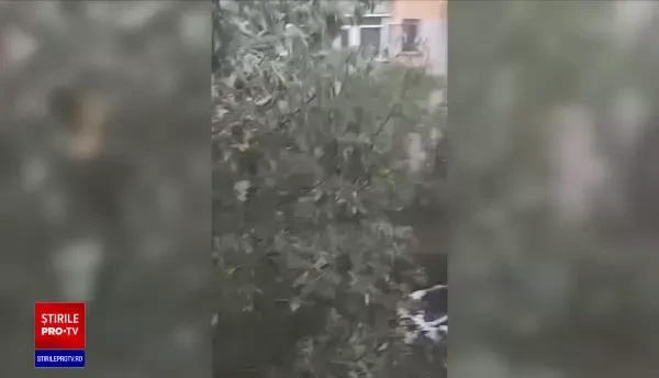 Situația este disperată în sudul țării. Pe cursul Dunării au aparut din loc în loc insule