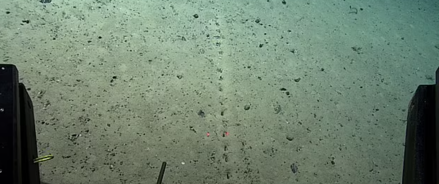 FOTO Descoperirea inexplicabilă făcută de oamenii de știință pe fundul Oceanului Atlantic