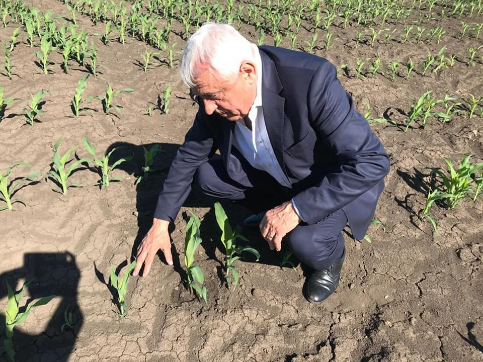 Ministrul Agriculturii: Nu există niciun colţişor din ţară unde nu avem secetă pedologică. 150.565 hectare sunt afectate