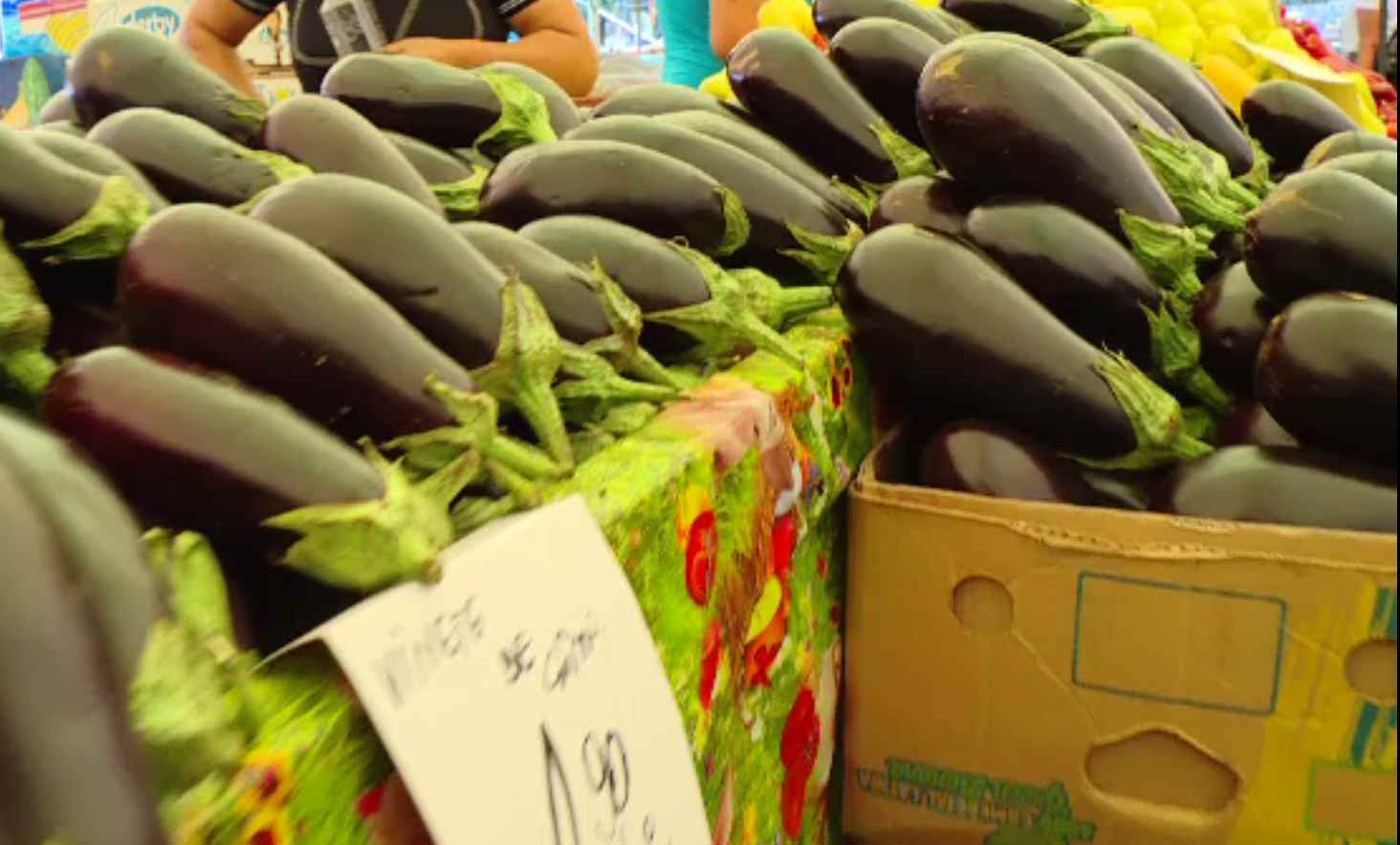 Este sezonul vinetelor, iar producția e foarte bună. Cum se pot coace acasă, pe caniculă