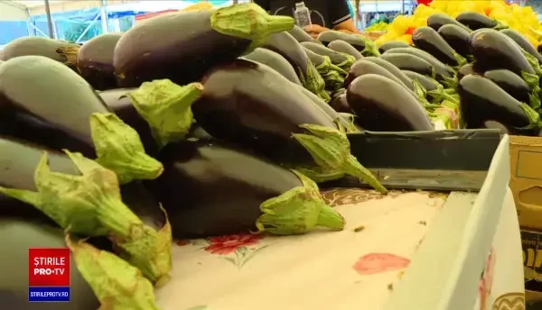 Este sezonul vinetelor, iar producția e foarte bună. Cum se pot coace acasă, pe caniculă