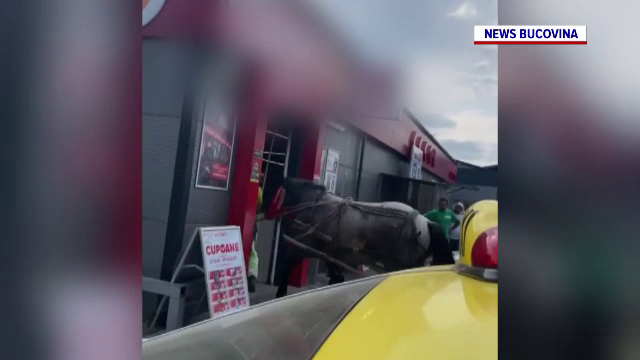 Protest inedit în Suceava. De ce a intrat un bărbat cu un cal înhămat la căruță într-un supermarket