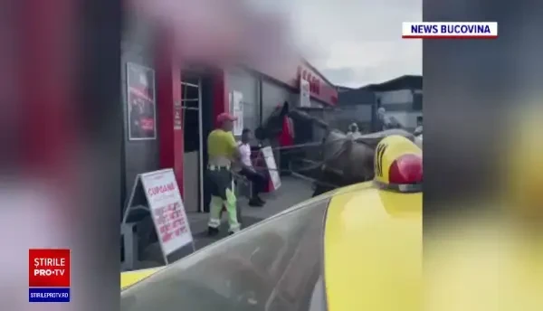 Protest inedit în Suceava. De ce a intrat un bărbat cu un cal înhămat la căruță într-un supermarket