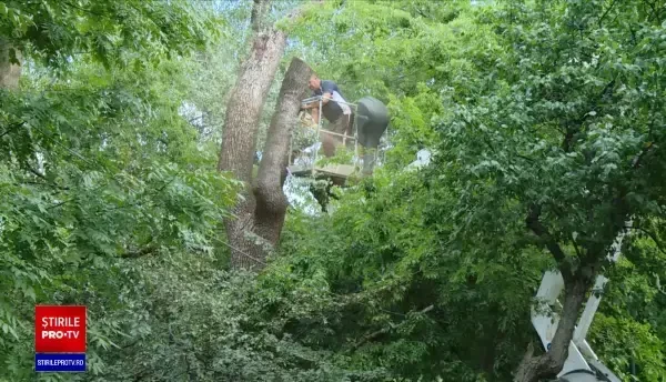 Capitala a pierdut peste o mie de hectare de spații verzi în ultimii ani. Au fost înlocuite cu parcări, trotuare și terenuri