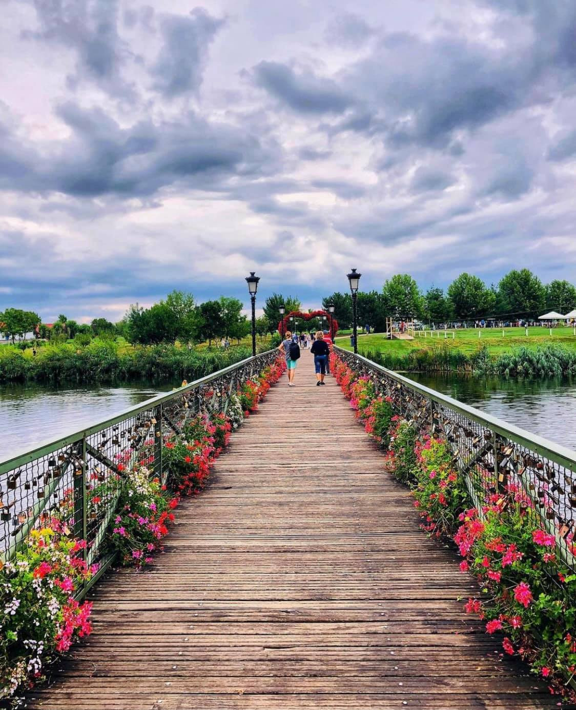 Parc de aventura Comana