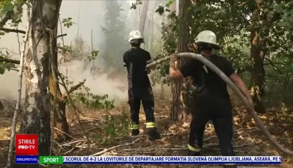 Ce fenomene extreme au loc în mai multe țări ale planetei, din cauza crizei climatice