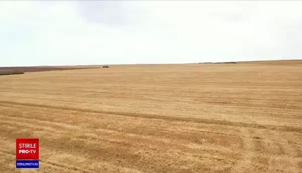 România, singura țară din UE care și-a pierdut perdelele forestiere. Motivul pentru care fermierii nu pot rezolva problema