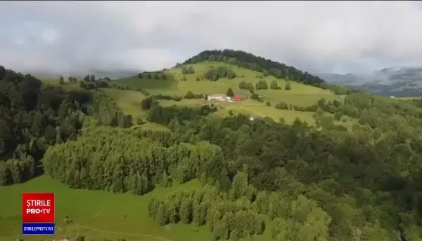 Fermele de vaci, monitorizate prin satelit. Fermierii își pot localiza vitele cu telefonul mobil, prin GPS