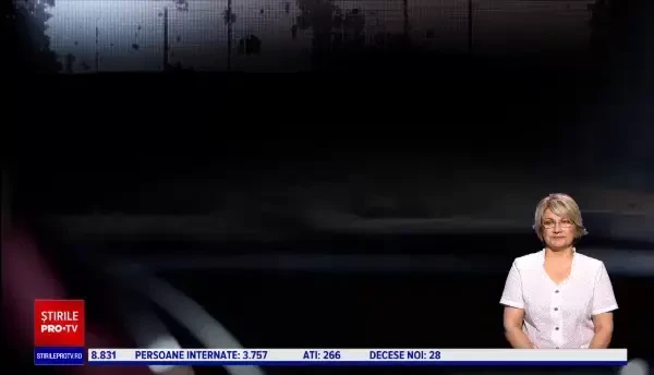 Cățelușă călcată intenționat de un șofer de pompe funebre. Un tânăr a salvat-o și a adoptat-o pe loc