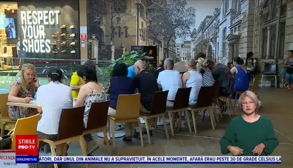 Românii care nu au reușit să se recenzeze o mai pot face până duminică seară. Cei care refuză pot primi o amendă uriașă