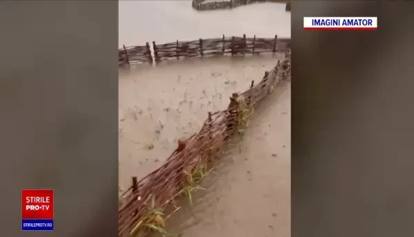 Ploile au făcut prăpăd în România. Acoperișuri distruse, străzi inundate, copaci doborâți, iar dezastrul va continua și luni